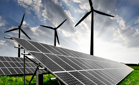 project-dtl